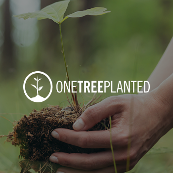 Close-up of hands planting a seedling for reforestation efforts.