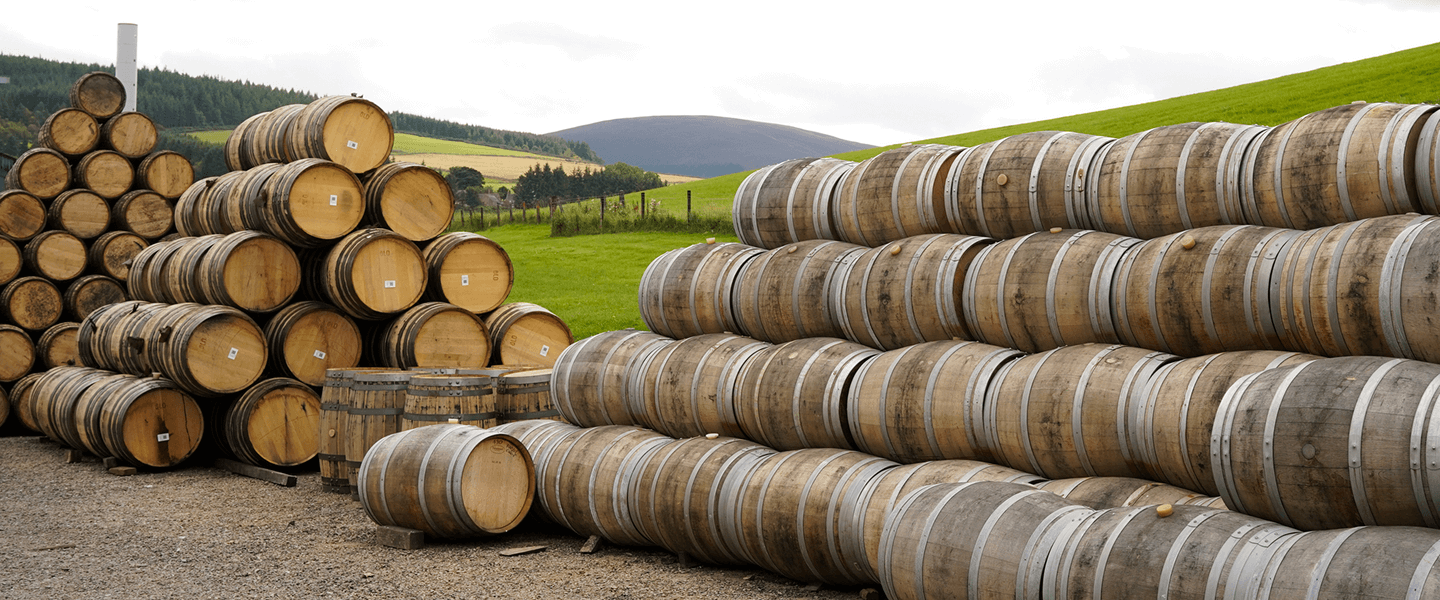 Stacked oak barrels in vineyard setting showcasing the origins of reclaimed wood.