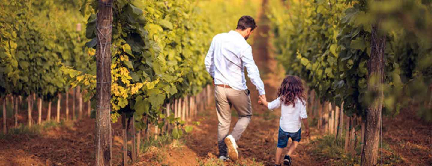 Family walking through vineyard, representing heritage roots of Sonoma Restorations.