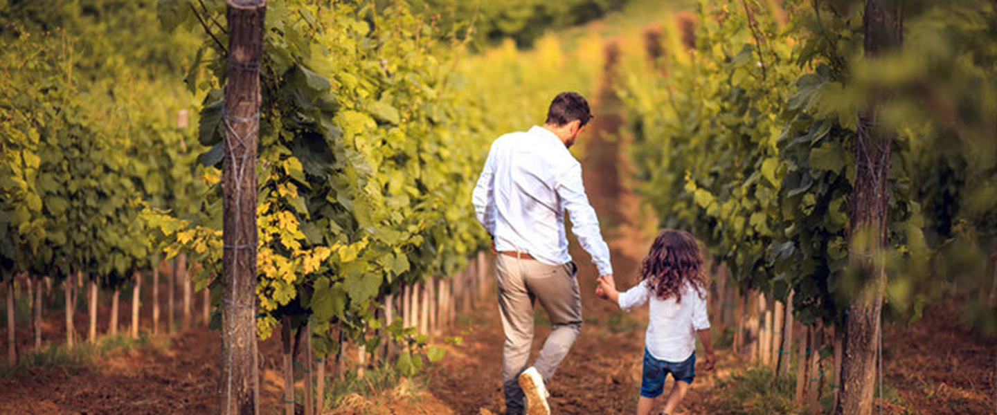 Family walking through vineyard, representing heritage roots of Sonoma Restorations.